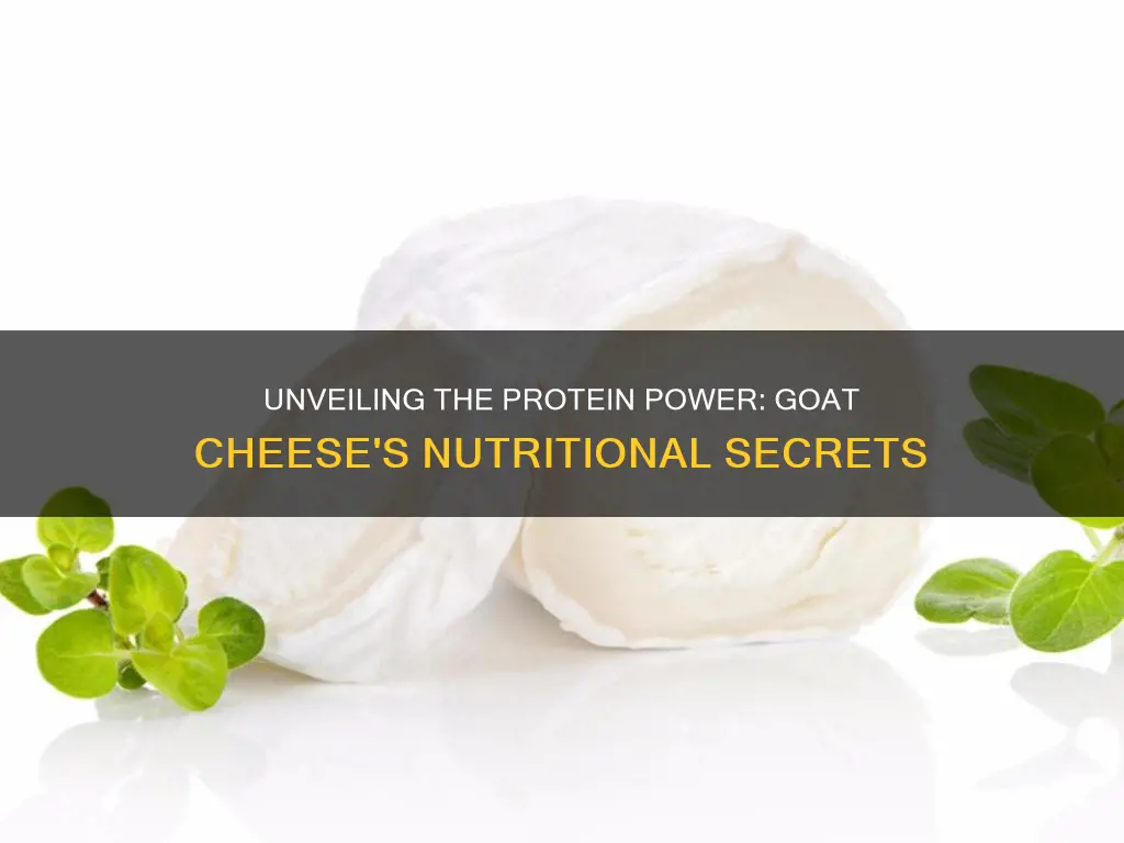 what kind of protein is in goat cheese