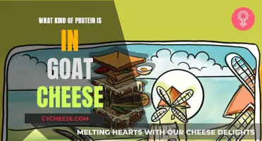 Goat Cheese Protein: What's the Deal?