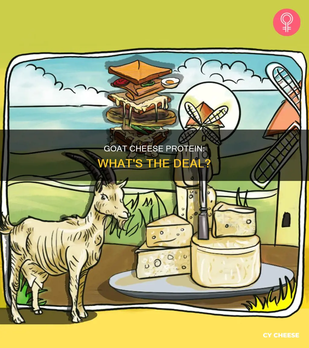 what kind of protein is in goat cheese