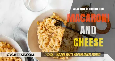 Mac and Cheese: Unveiling the Protein Secrets