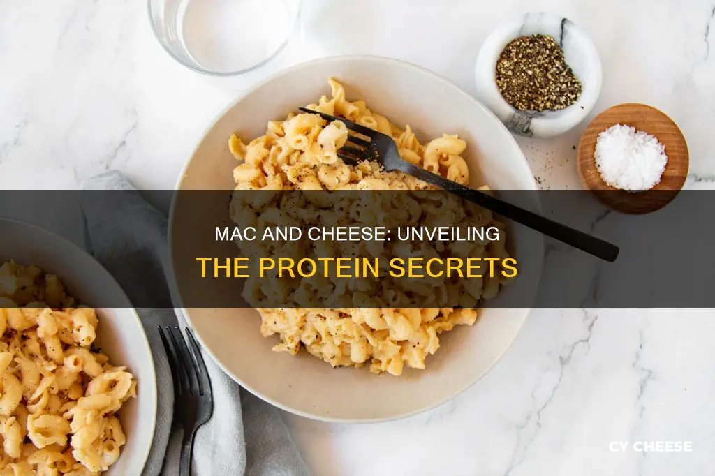 what kind of protien is in macaroni and cheese