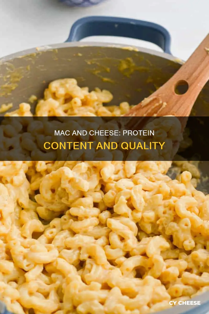 what kind of protien is in macaroni and cheese