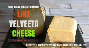 The Ultimate Guide to Finding the Best Real Cheese Similar to Velveeta