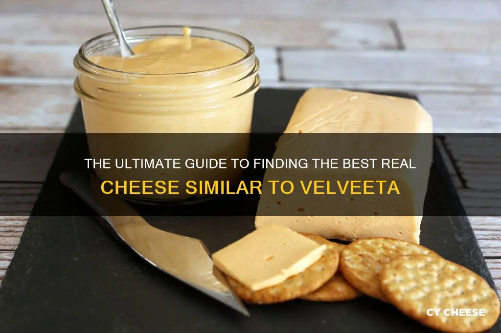 what kind of real cheese is most like velveeta cheese