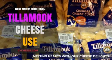 Rennet in Tillamook Cheese: The Inside Scoop