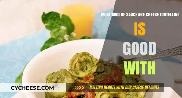 Delicious Cheese Tortellini: Top Sauce Pairings for Perfect Flavor Harmony
