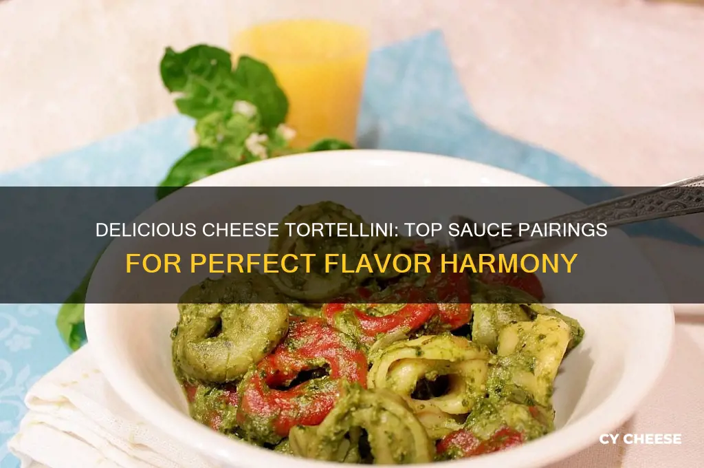 what kind of sauce are cheese tortellini is good with