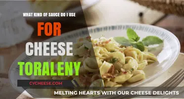 Cheese Tortellini: What Sauce to Choose?