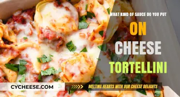 Cheese Tortellini: Exploring the Best Sauces