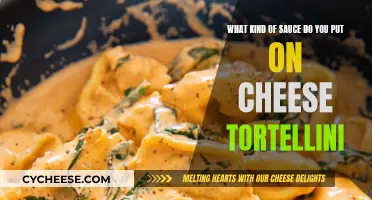 Cheese Tortellini: Best Sauces to Try