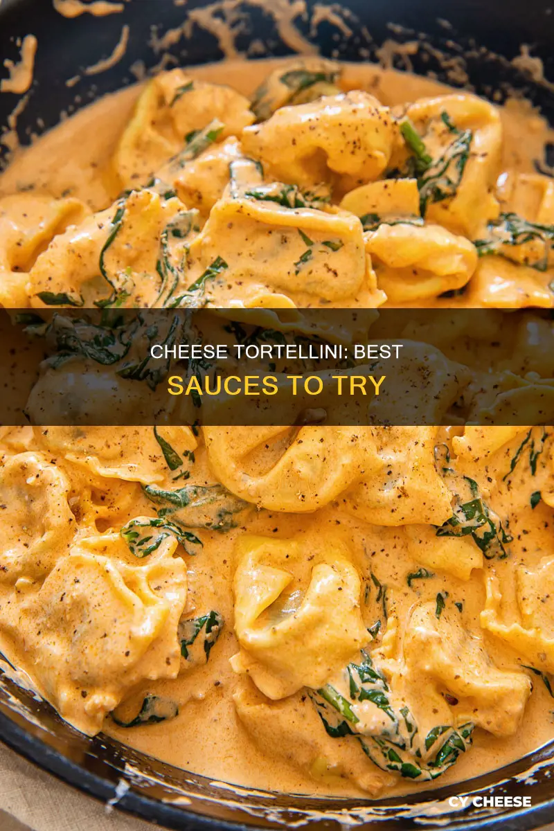 what kind of sauce do you put on cheese tortellini