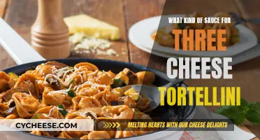 Cheese Tortellini: Best Sauces to Try