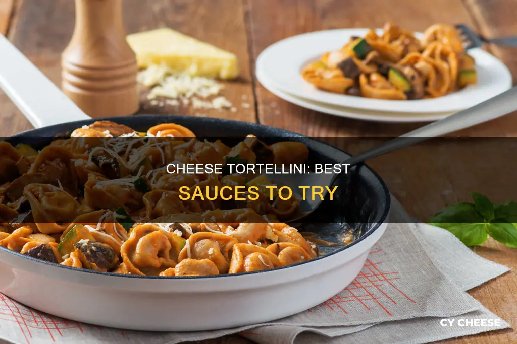 what kind of sauce for three cheese tortellini