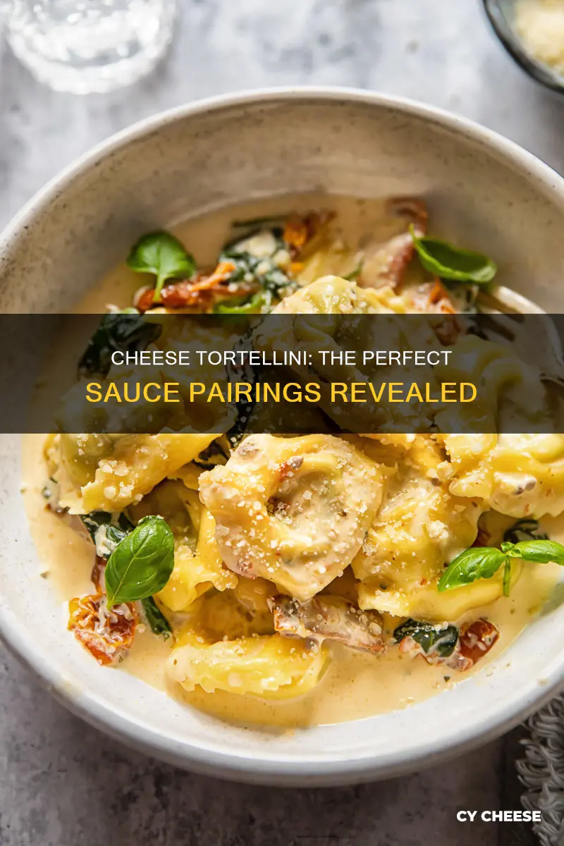 what kind of sauce goes best with cheese tortellini