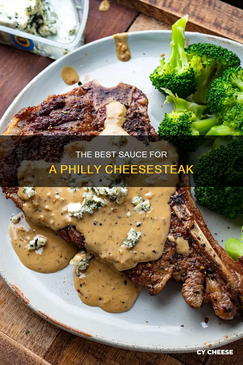 what kind of sauce goes on philly cheese steak