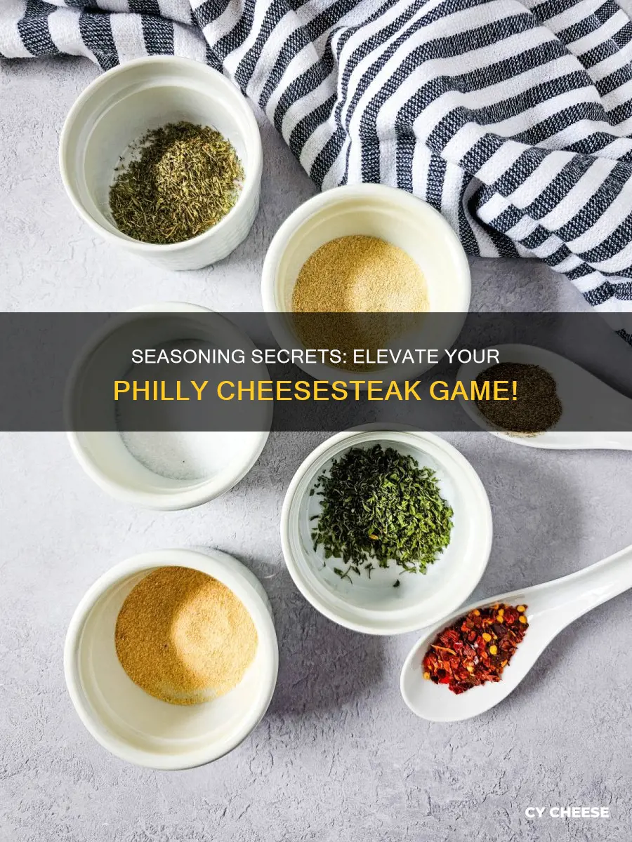 what kind of seasoning to put on philly cheese steak