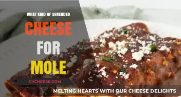 Mole's Perfect Match: The Best Shredded Cheese Guide