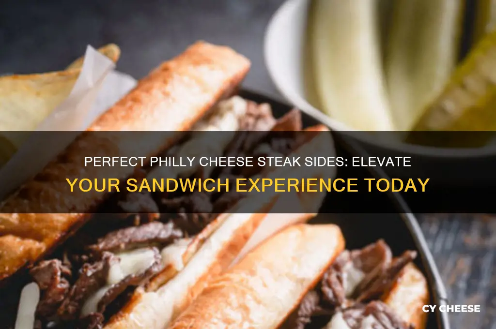 what kind of side is good for philly cheese steak