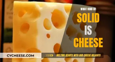 Cheese: A Complex Solid Food, Explained