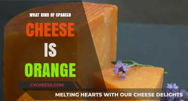 The Orange Delight: Exploring Spain's Unique Orange-Hued Cheese