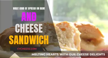 Ham and Cheese Sandwich: Best Spreads to Try