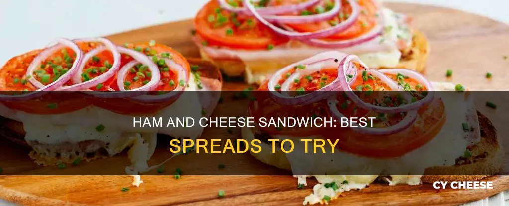 what kind of spread on ham and cheese sandwich