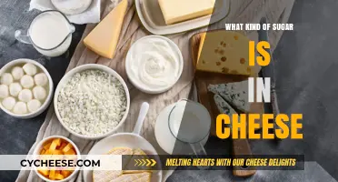 Unveiling the Sweet Secret: Sugar in Cheese