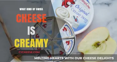 Creamy Swiss Cheese: Unveiling the Soft, Smooth, and Savory Delight