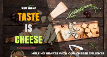 Exploring the Diverse Flavors of Cheese: A Tasty Adventure