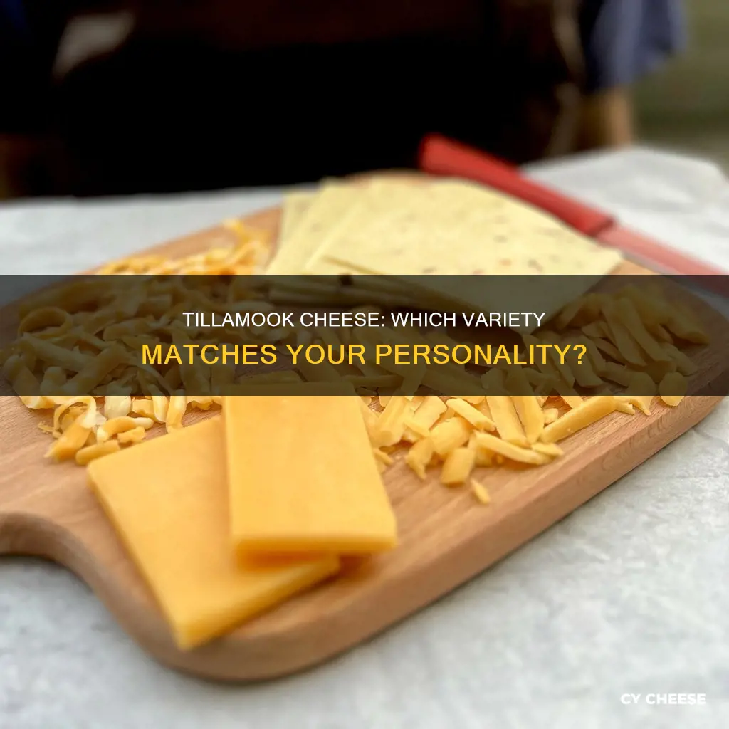 what kind of tillamook cheese are you