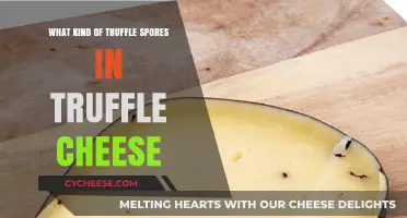 Unveiling the Truffle's Secret: Spore Magic in Cheesy Delights