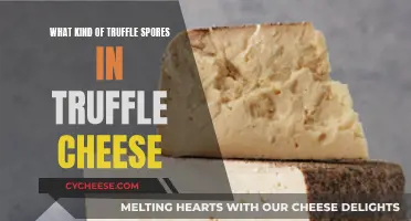 Truffle Cheese: Understanding the Spore Varieties