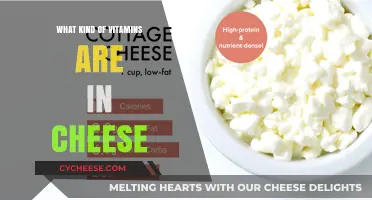 Unveiling the Vitamin Secrets: A Cheese Nutrient Journey