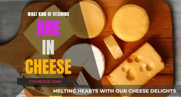 Cheese Nutrition: Unveiling the Vitamin Content