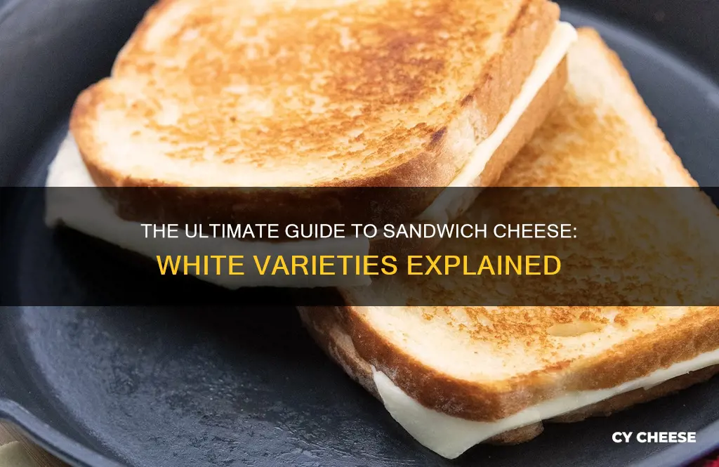 what kind of white cheese are for sandwiches