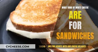 White Cheese for Sandwiches: The Best Varieties to Try