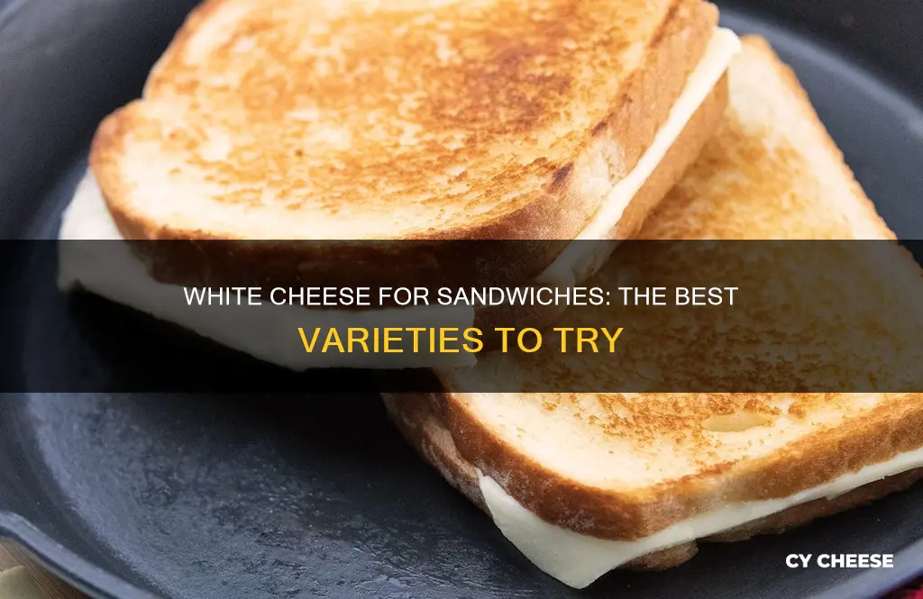 what kind of white cheese are for sandwiches