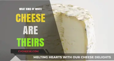 Exploring the World of White Cheese Varieties