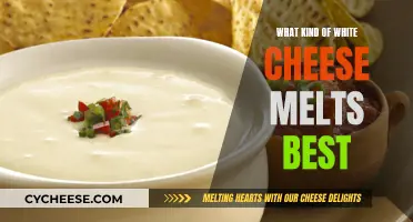 Best Melting White Cheeses for Your Recipes