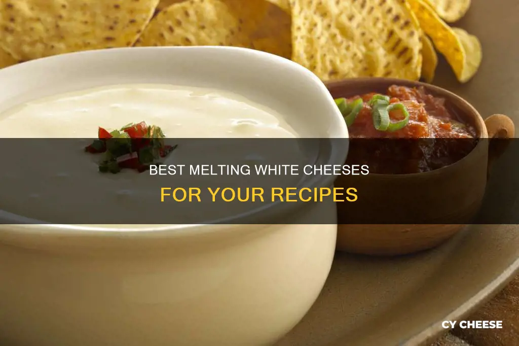 what kind of white cheese melts best