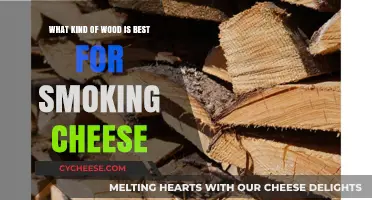 The Ultimate Guide to Smoking Cheese: Best Wood Types