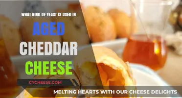 Yeast's Role in Aging Cheddar Cheese