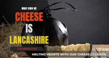 The History of Lancashire Cheese: A Tasty Overview