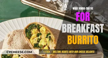Breakfast Burrito Bliss: Choosing the Perfect Cheesy Fillings