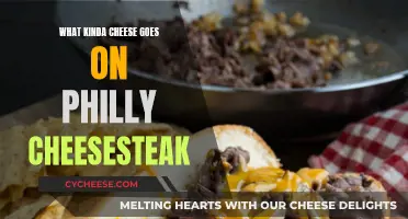 Philly Cheesesteak: Melting Pot of Cheeses