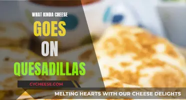Best Cheeses for Quesadillas: Melty, Flavorful, and Classic Combinations