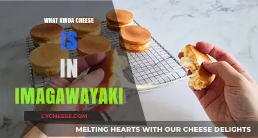 Unveiling the Cheesy Secret: Imagawayaki's Golden Filling