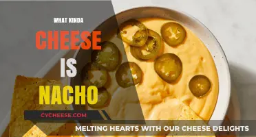 Nacho Cheese: A Guide to the Perfect Topping