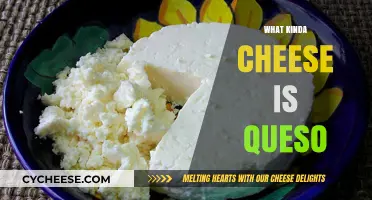 Unveiling the Mystery: What Kind of Cheese is Queso?