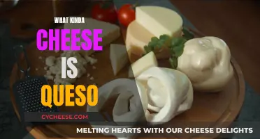 Queso: Is It a Cheese or Something Else?